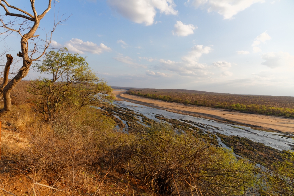 08 - Kruger NP (9).jpg